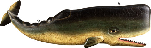 click to enlarge