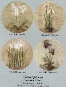 click to enlarge